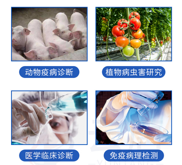 動(dòng)物疫病檢測儀