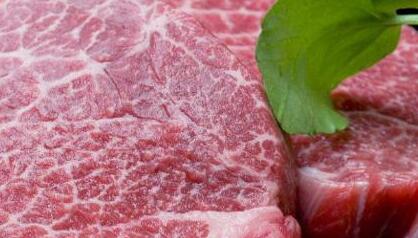 獸藥殘留檢測儀實驗室建設方案