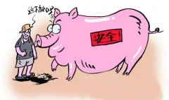 動(dòng)物疫病診斷的方法有哪些？