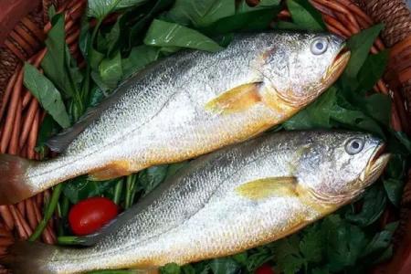 黑魚中檢測(cè)出孔雀石綠超標(biāo)，黃魚中檢測(cè)出氧氟沙星超標(biāo)