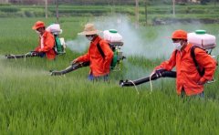 農(nóng)藥殘留檢測儀檢測速度快嗎？