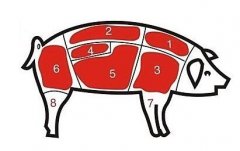 病害肉檢測(cè)儀讓老百姓吃上放心肉！