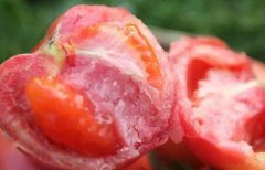 為何建議超市配備食品安全檢測儀？