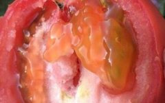 農殘快速檢測儀擴大農殘檢測范圍